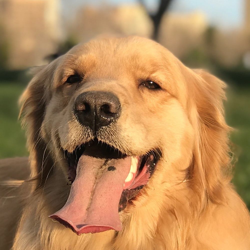 Meet your Posher, Tom